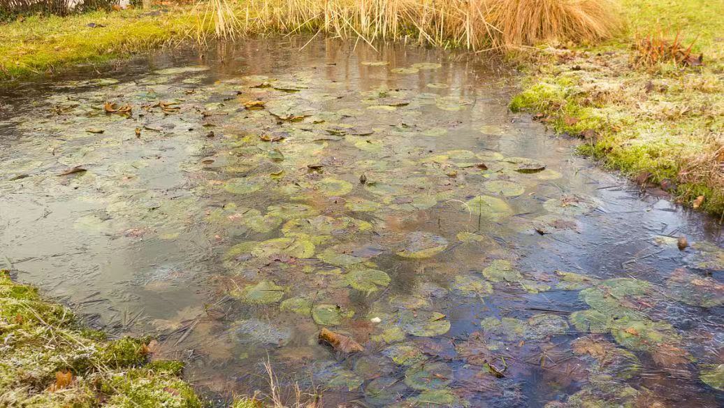 漁業水產養殖水質監測與預警系統 智能監控管理(圖1) 漁業水產養殖水質監測與預警系統 智能監控管理(圖1)