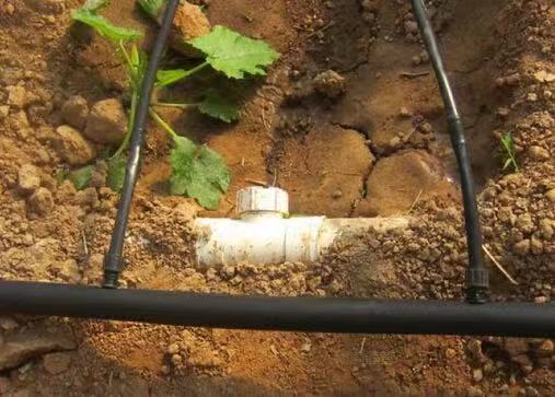 四川大棚智能節水灌溉系統 智能節水灌溉系統由什么組成(圖3) 四川大棚智能節水灌溉系統 智能節水灌溉系統由什么組成(圖3)