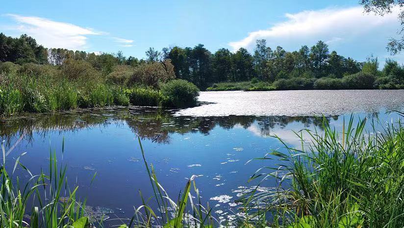 河道水環境綜合治理系統方案 有效治理河道水環境(圖1) 河道水環境綜合治理系統方案 有效治理河道水環境(圖1)